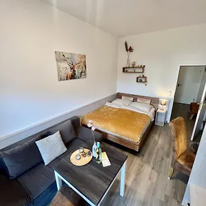 Wunderschoenes Mit Bademantelgang Zur Wohlfuehltherme Apartment
